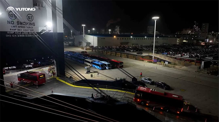 شحن 650 حافلة يوتونغ إلى الجزائر شحن 650 حافلة يوتونغ إلى الجزائر