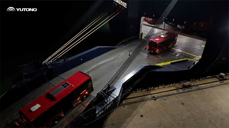 شحن 650 حافلة يوتونغ إلى الجزائر شحن 650 حافلة يوتونغ إلى الجزائر